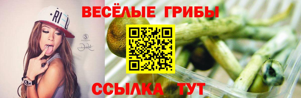Галлюциногенные грибы Psilocybine cubensis  Вход с VPN  хочу наркоту  Сатка  Псилоцибиновые грибы ЛСД 